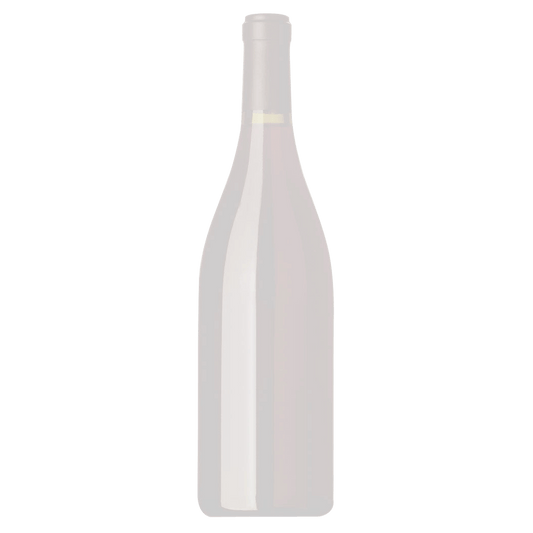 Brilla Delle Venezie Pinot Grigio