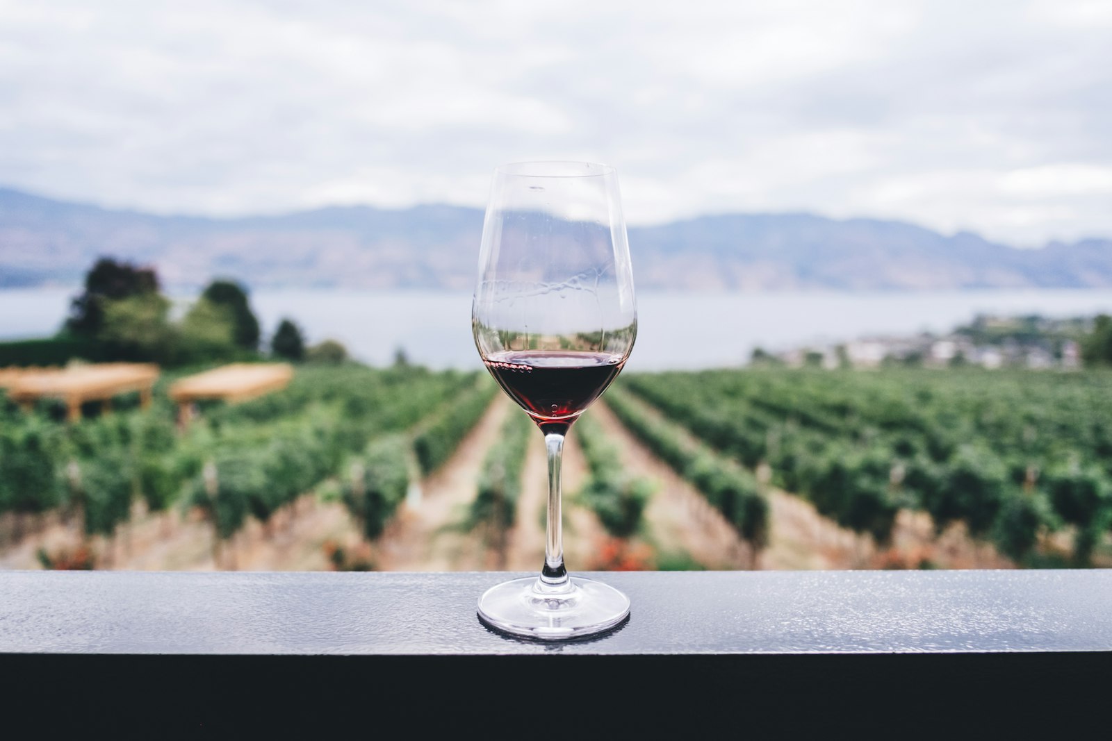 Italian white wine being poured at sunset