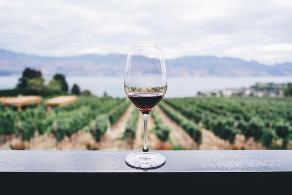 Italian white wine being poured at sunset