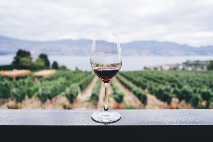 Italian white wine being poured at sunset