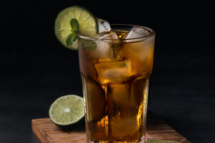 Gin and tonic with botanicals and citrus